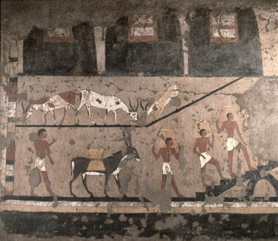 Landbouwscène, muurschildering verwijderd uit de Mastaba van Ti in Sakkara, Oude Rijk, ca. 2494-2345 v.Chr. door Egyptian 5th Dynasty