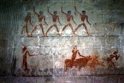 Mannen die schapen en vee hoeden uit de Mastaba-kapel van Ti, Oude Koninkrijk door Egyptian 5th Dynasty