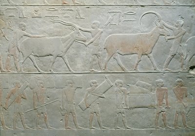 Dienaren die een oryx en een antilope drijven en anderen die bagage dragen, uit de Mastaba van Akhethotep, Saqqara, Oude Rijk, c.2400 v.Chr. door Egyptian 5th Dynasty