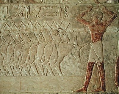 Reliëf dat een veedrijver toont die een groep vee aanmoedigt, uit de Mastaba van Mereruka, Oude Koninkrijk door Egyptian 6th Dynasty Egyptian 6th Dynasty