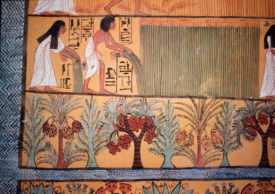 Een oogsttafereel door Egyptian Egyptian
