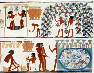 Egyptische kunst: druiven plukken en treden. Simile College van het graf van Nakht, periode van Amenophis II (ca. 1450-1425 v.Chr.). Parijs, College De France door Egyptian Egyptian