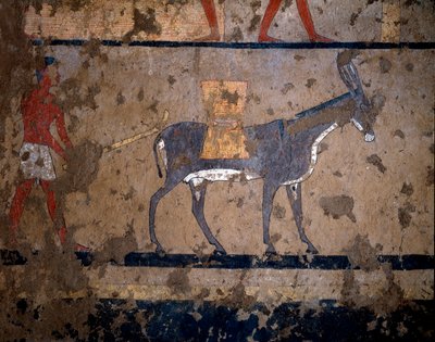 Egyptische oudheid: het transport van graan op de rug van een muilezel. Temperaschildering van de muur van het graf van de kanselier van koning Iti (of Ity) 2200-2000 v.Chr. Uit El Ghebelen, Luxor. Turijn, Egyptisch museum door Egyptian Egyptian