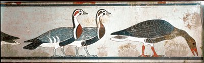 Ganzen, detail van een paneel uit de Mastaba van Itet, vrouw van Nefermaat, Meidoum door Egyptian Egyptian