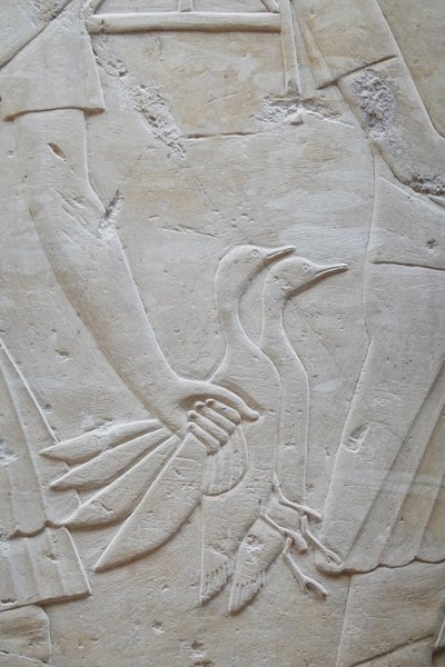 Hand die 2 ganzen bij de vleugels houdt, graf van Ramose door Egyptian Egyptian