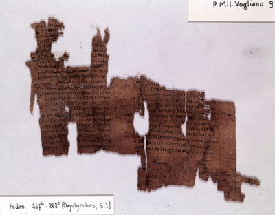 Literair papyrus: 