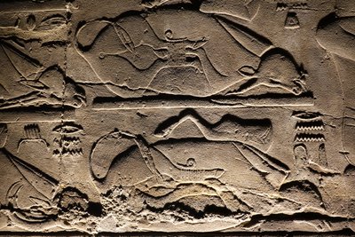 Luxor Tempel: Geofferde koeien (reliëf) door Egyptian Egyptian