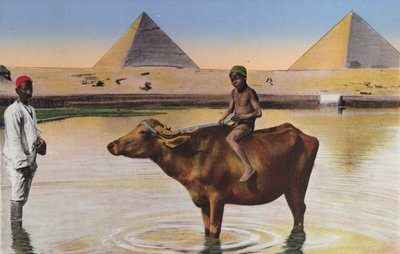 Caïro, piramides en buffels aan de Nijl door Egyptian Photographer