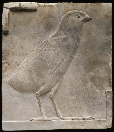 Reliëfplaat met een kuiken, c.330-305 v.Chr. door Egyptian Ptolemaic Period