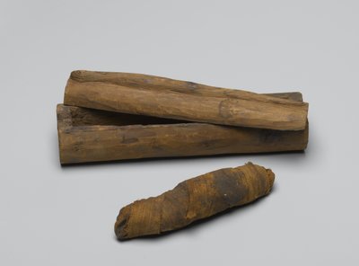 Kleine kist van slang, met mummie door Egyptian School