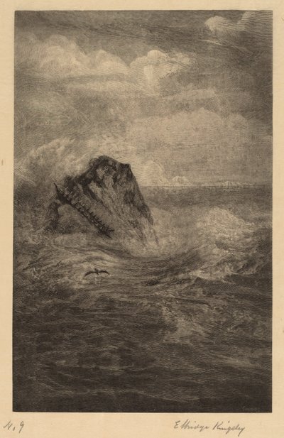 Een Rots in de Zee door Elbridge Kingsley