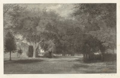 New England Elms door Elbridge Kingsley