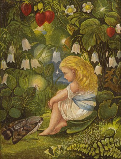 Het geroddel met de vuurvliegjes door Eleanor Fortescue Brickdale