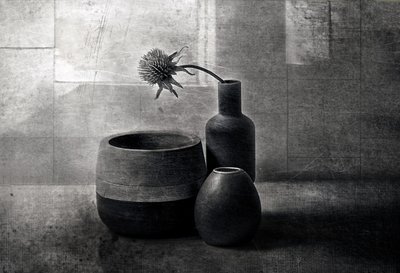 Moody Thistle-schepen door Elena Arjona