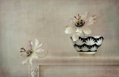 Stilleven met passiebloem door Elena Arjona