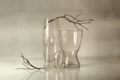 Rustig glas-stilleven door Elena Arjona