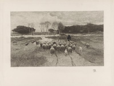 Schaapherder door Elias Stark