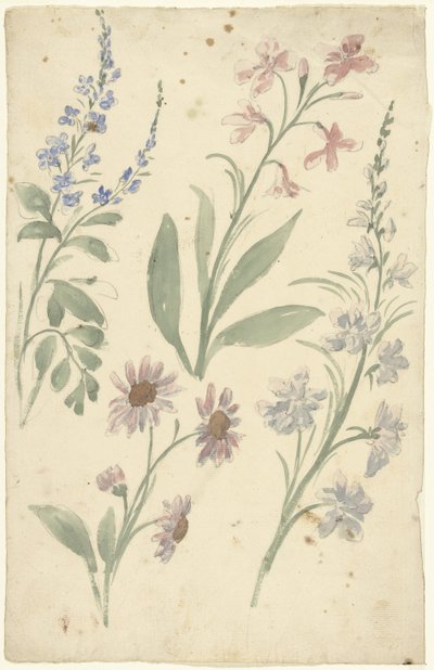 Vier studies van roze en blauwe bloemen door Elias van Nijmegen