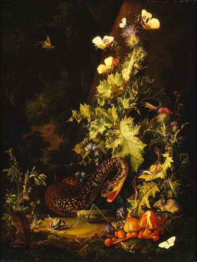 Stilleven met een slang door Elias van den Broeck