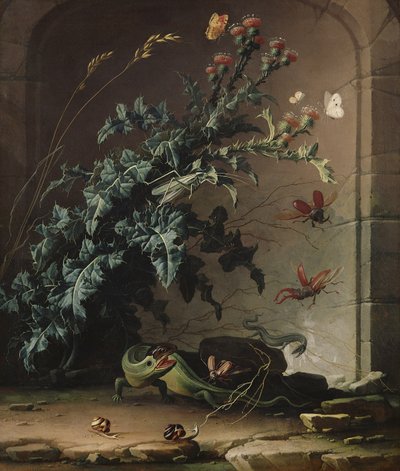 Stenen Niche met Distel, Hagedis en Insecten, 1690 door Elias van den Broeck