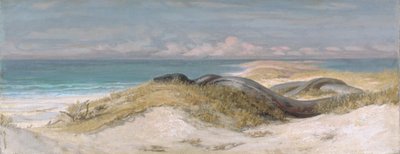  door Elihu Vedder