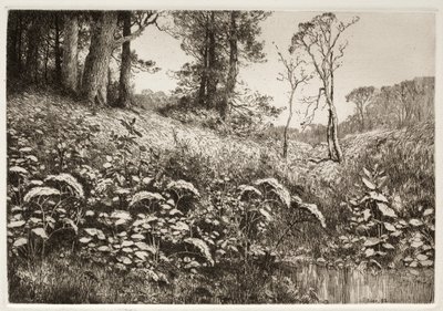 Een Zomermiddag door Elis F. Miller