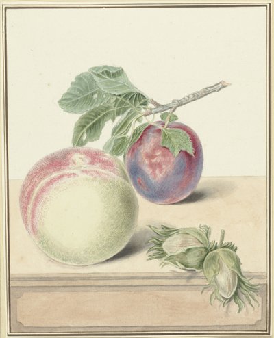 Perzik, een pruim met blad en een paar noten door Elisabeth Geertruida van de Kasteele