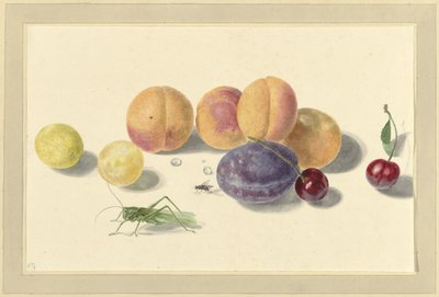 Perziken, pruimen, kersen en twee insecten door Elisabeth Geertruida van de Kasteele
