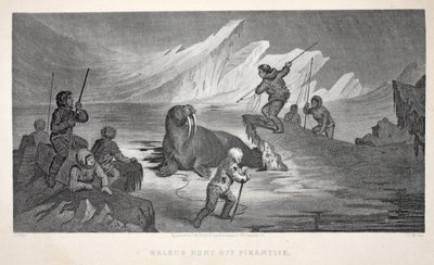 Walrusjacht bij Pikantlik, illustratie uit 