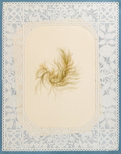 Zeewieren door Eliza A. Jordson