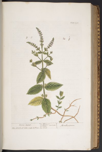 Plate 292, uit 