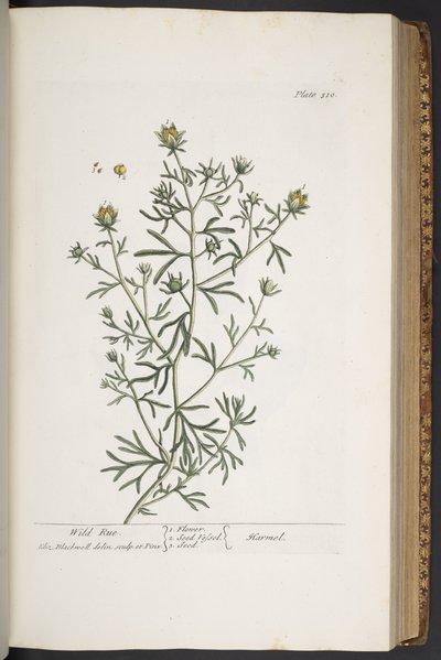 Plate 310, uit 