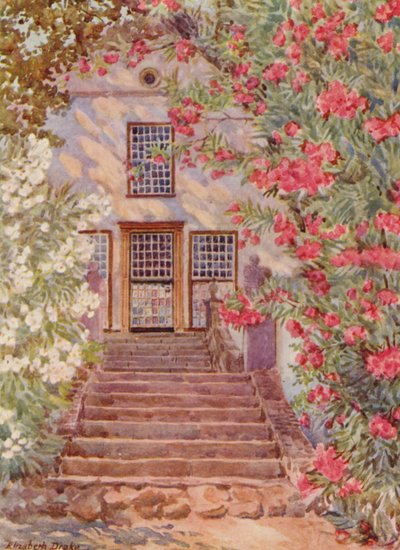 Roze en witte oleanders, Alphen, Wynberg (kleurenlitho) door Elizabeth Drake