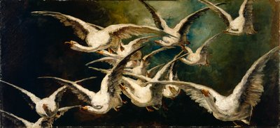 Kudde Ganzen door Elizabeth Nourse