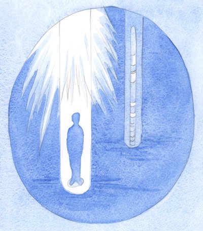 Door ons dagelijks leven in Gods licht te zien, zien we de 