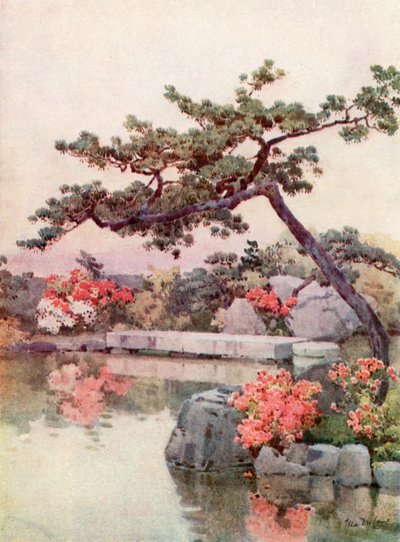 Azalea