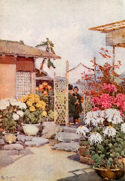 Chrysanten, Kyoto door Ella Du Cane