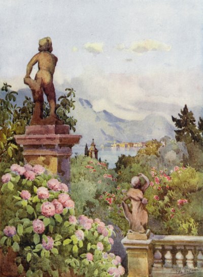 Hortensia