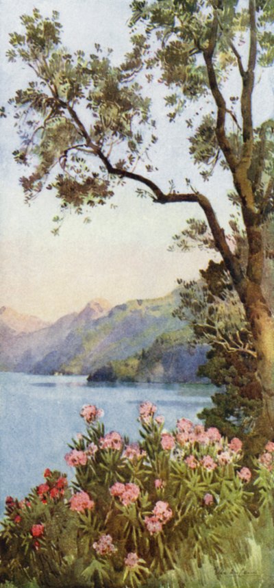 Lago di Lecco, Lago di Como door Ella Du Cane