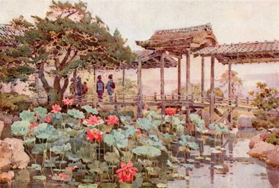 Lotus bij Kodaiji door Ella Du Cane
