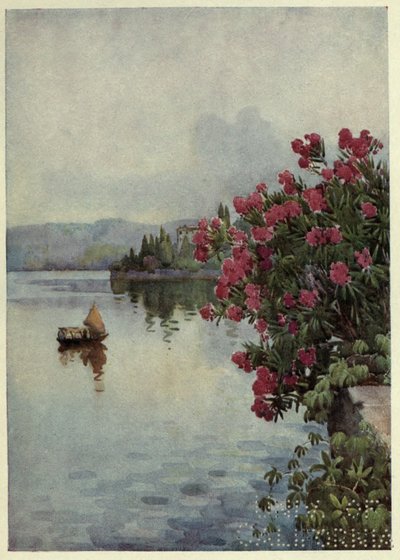 Oleanders, Lago di Como, Illustratie uit 