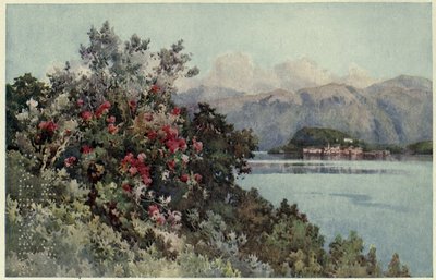 Roses, Villa Carlotta, Lago di Como, Illustratie uit 