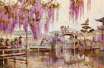 Wisteria, Kameido door Ella Du Cane