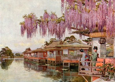Wistaria, Nagaoka (kleurenlitho) door Ella Du Cane