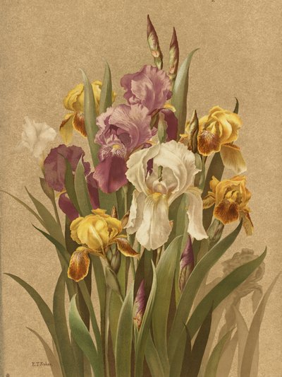 Fleur De Lis, nr. 3 door Ellen Thayer Fisher