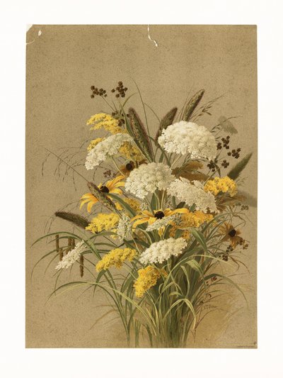 Hemlock, ooggras en guldenroede door Ellen Thayer Fisher