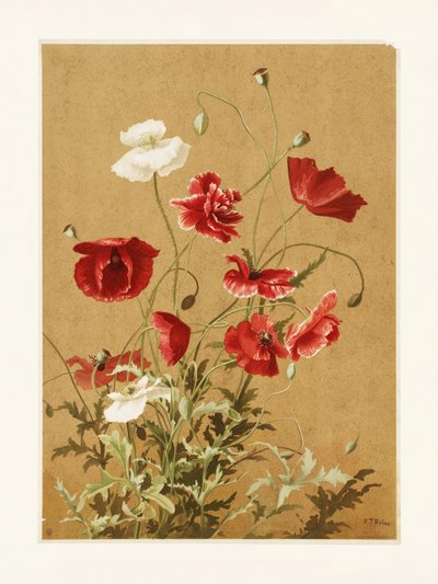 Poppies nr. 3 Door Ellen Thayer Fisher door Ellen Thayer Fisher