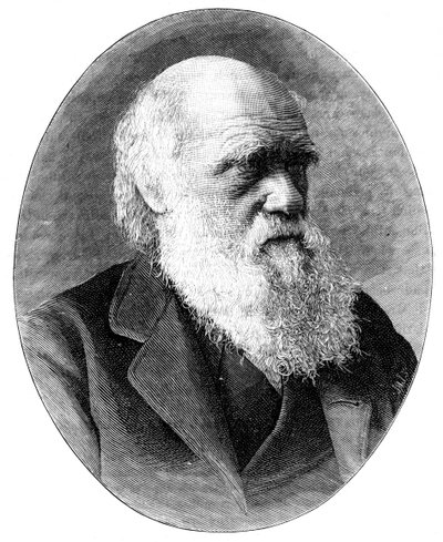 Charles Darwin, 19e-eeuwse Engelse natuuronderzoeker, 1900 door Elliott and Fry