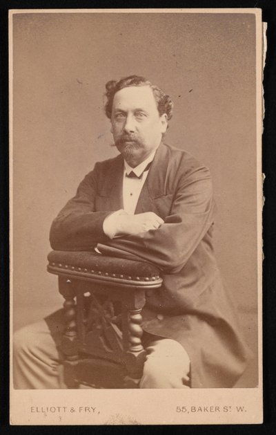 Portret van David Forbes 1828-1876, 1874 door Elliott and Fry