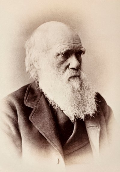 Charles Darwin: Engelse natuuronderzoeker door Elliott und Fry Studio
